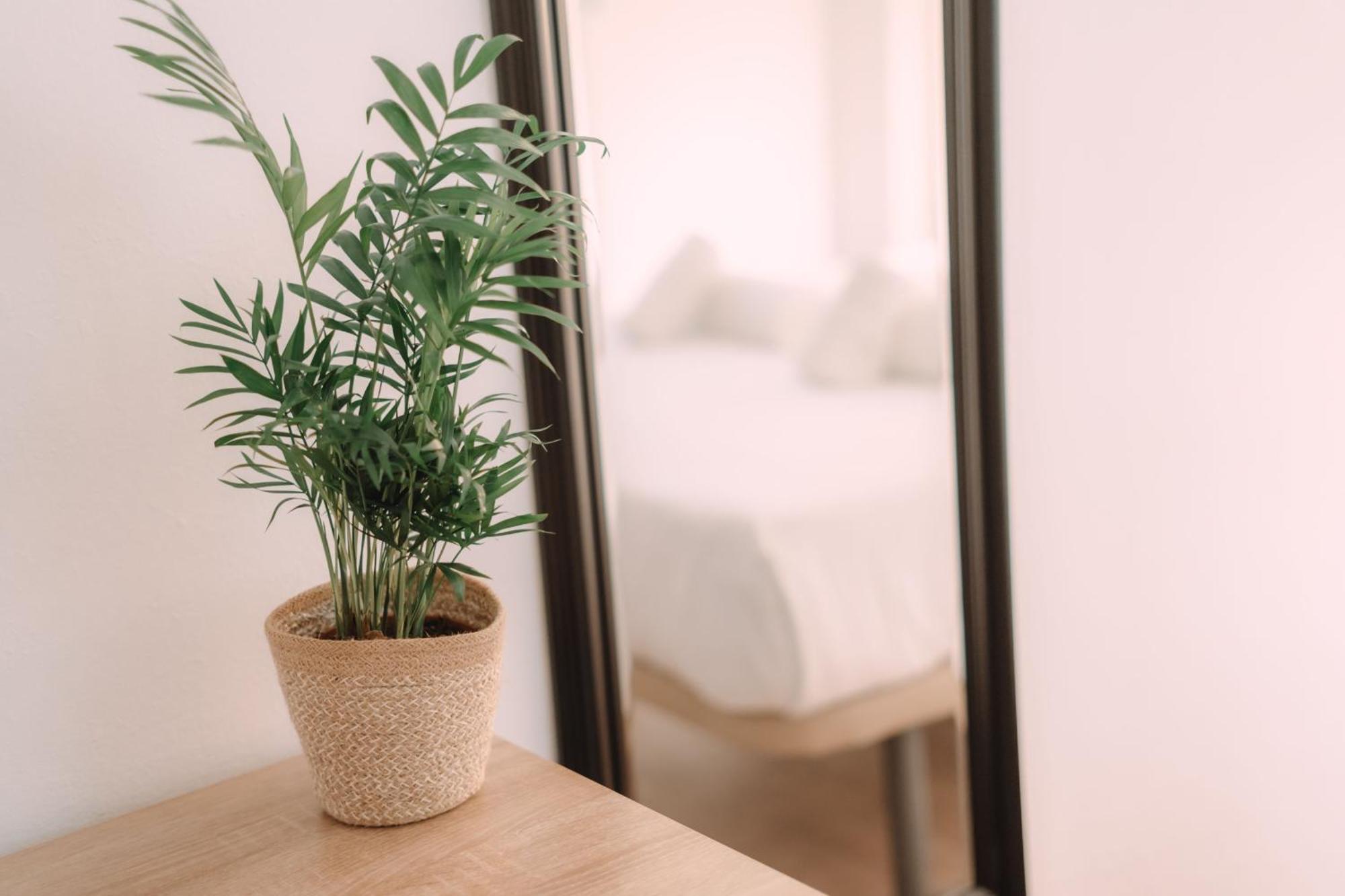 Concept Rooms Valencia Bagian luar foto
